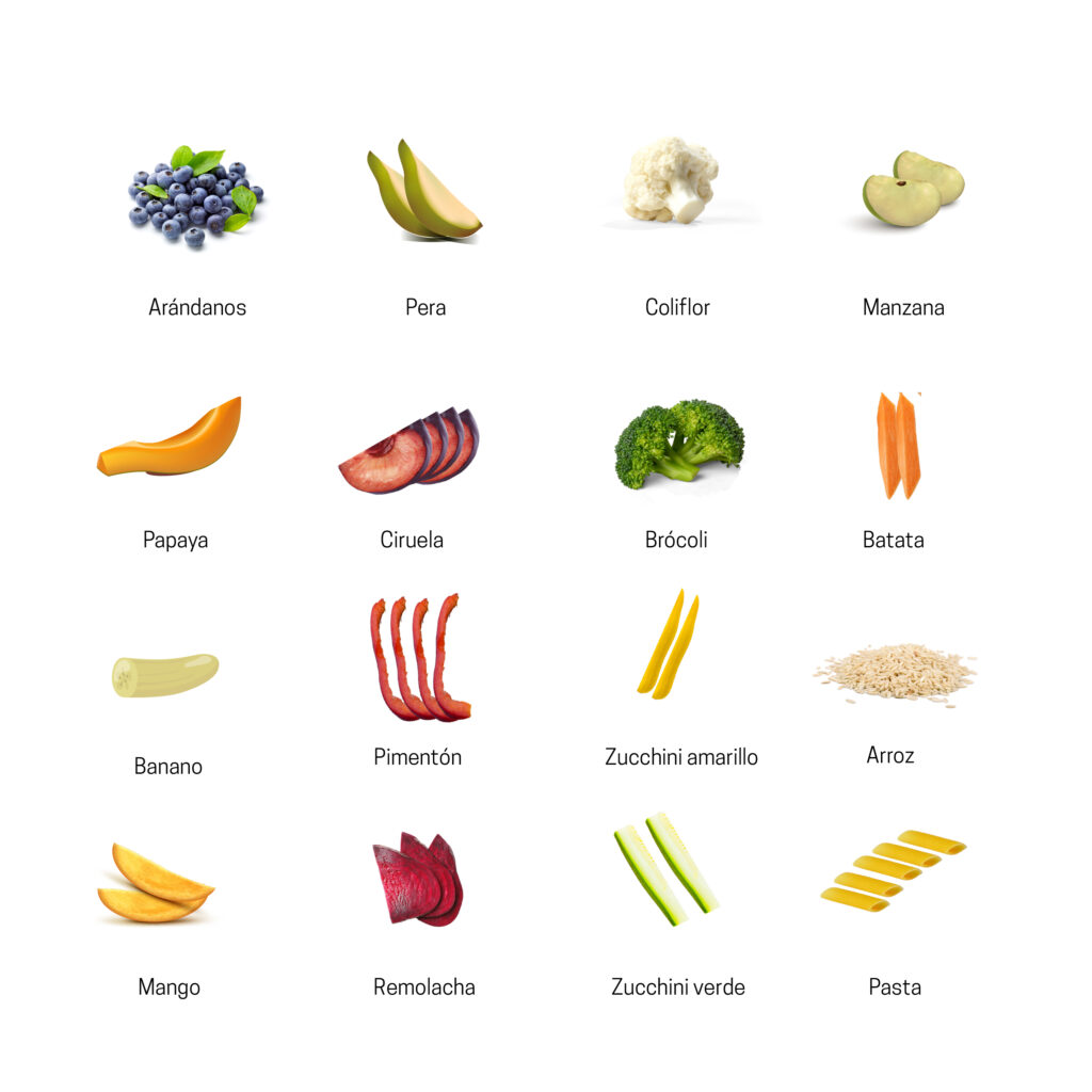 Alimentacion Complementaria BLW